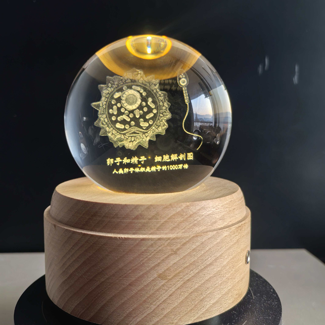 精子和卵子三维模拟结构水晶球桌面摆件礼物客厅书房装饰生日礼物