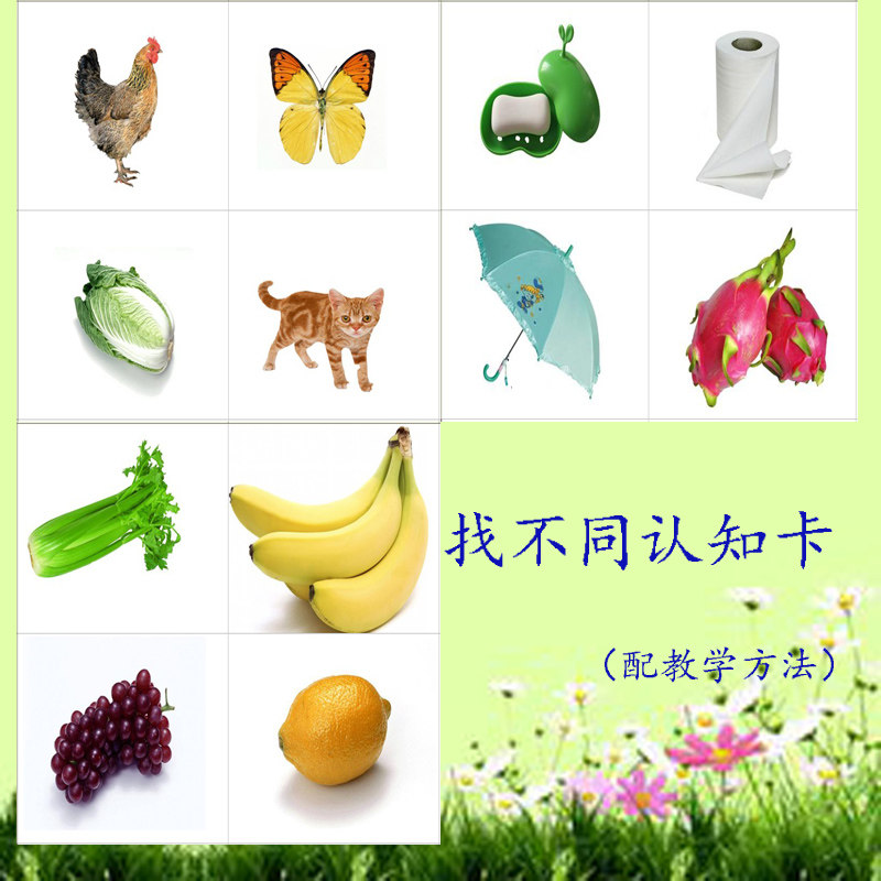 找不同分类自闭症孤独症 语言认知学习卡 训练卡片 教学卡片教具