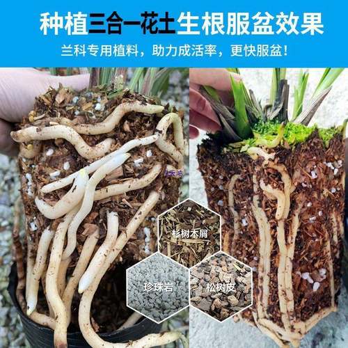 升级版兰花植料杉树木屑松树皮珍珠岩疏松沥水花卉绿植通用营养土