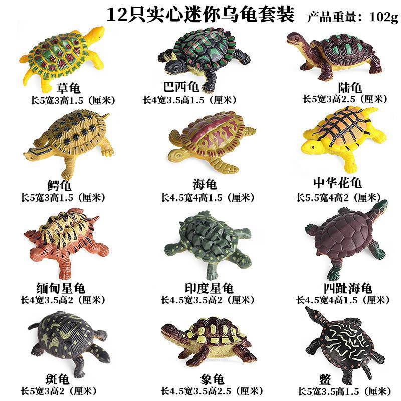 仿真海洋生物动物模型陆龟象龟甲鱼海龟巴西龟乌龟儿童玩具摆件
