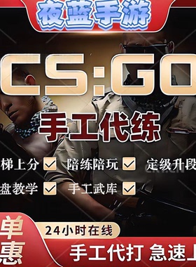[直播打]CSGO代练完美5E天梯定级赛上分陪玩/专业1对1复盘教学CS2