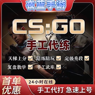 [直播打]CSGO代练完美5E天梯定级赛上分陪玩/专业1对1复盘教学CS2