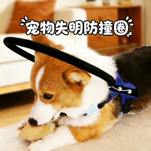 狗狗失明一代可调节宠物圈瞎子狗防撞环白内障头部眼睛保护圈