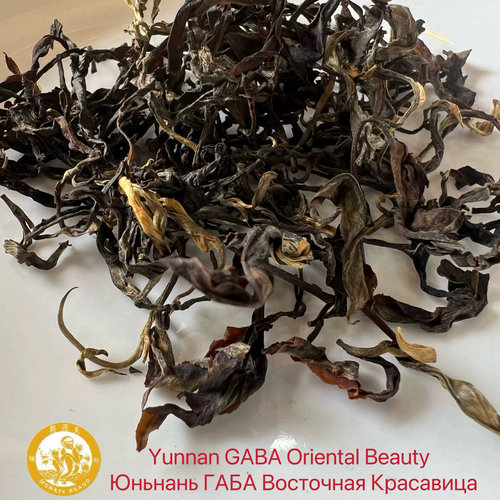 东方美人嘎巴茶  GABA Oriental Beauty   Юньнань