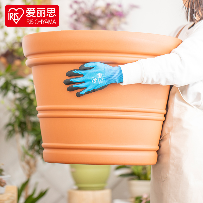 爱丽丝巴伦西亚大花盆
