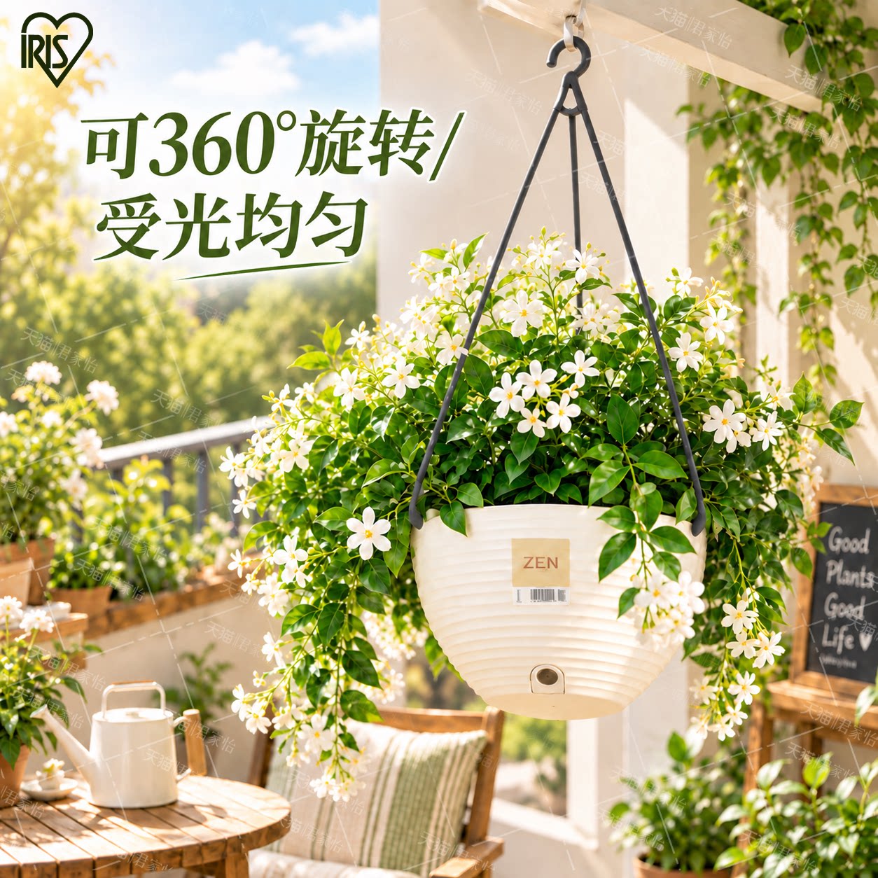 爱丽思吊兰花盆吊盆吊蓝绿萝垂钓盆树脂植物挂钩悬挂式壁挂吊兰盆