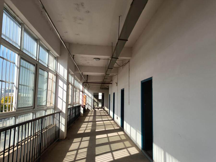 4月2日赣州市电缆厂工业房地产及构筑物、机器设备、苗木网络拍卖公告