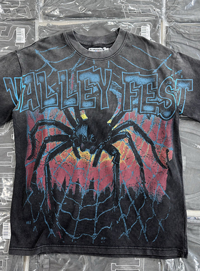 夏季Vintage高街巨物蜘蛛印花图案男女宽松复古街头圆领短袖T恤潮