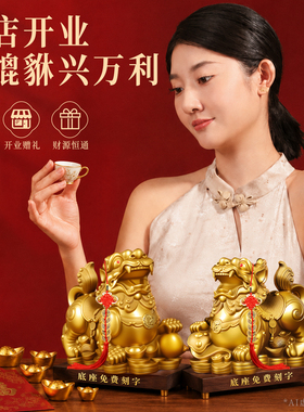 铜貔貅摆件一对公母纯黄铜旺财貔犰国学装饰客厅玄关店铺开业送礼