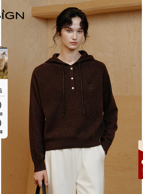 商场同款DSIGN时尚设计感连帽毛衣女2025冬季新款百搭上衣