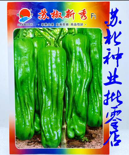 苏椒新秀辣椒种子早熟长灯笼型薄皮质嫩农家大田大棚春秋播种