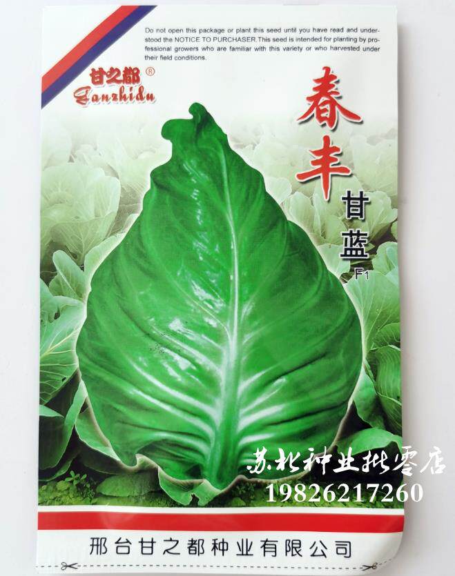 甘蓝流星包菜种子春秋播牛心甘蓝种籽冬性强露地越冬产量高