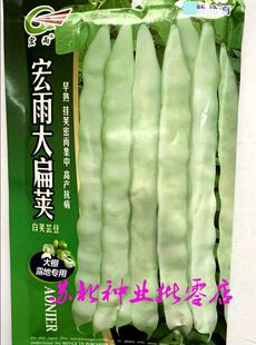 宏雨大扁荚白荚芸豆梅豆种子早熟嫩荚绿白宽扁四季豆架豆种籽春秋