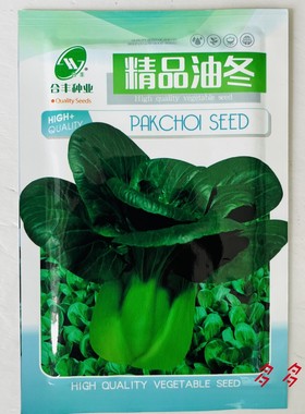合丰精品油冬青菜种子四季油亮黑叶苏州青种籽耐热青梗菜种籽高产