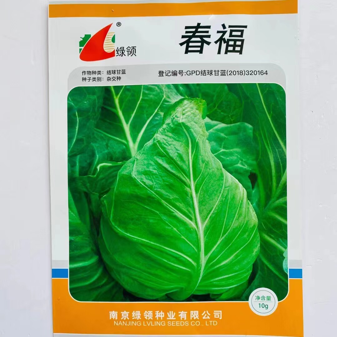 绿领春福甘蓝种子杂交春甘蓝牛心甘蓝种籽包菜种子春秋播种卷心菜怎么看?