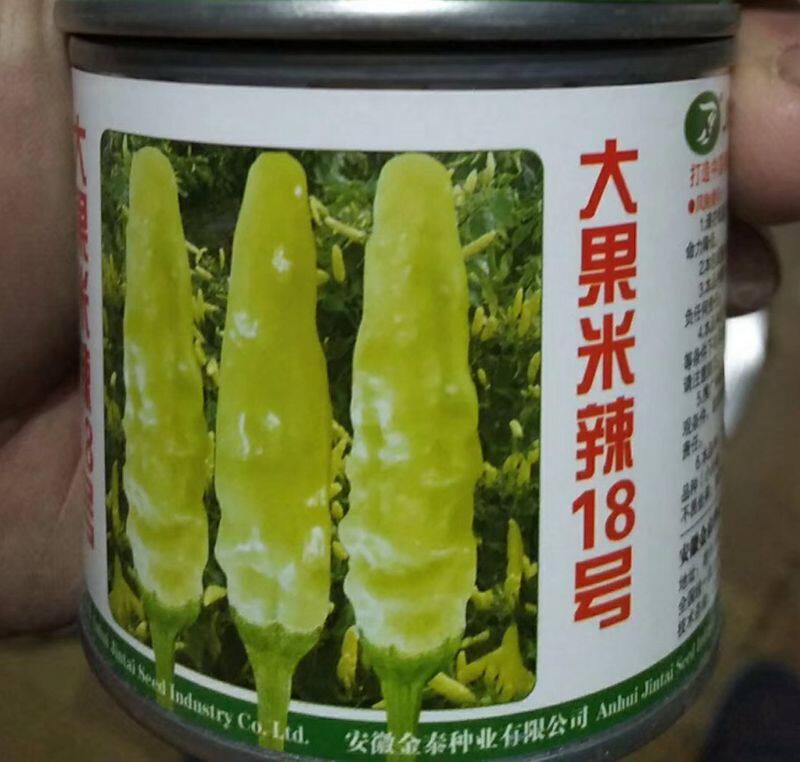 小米辣椒种大果米辣18号辣椒种子大果白米辣999号泡椒种籽