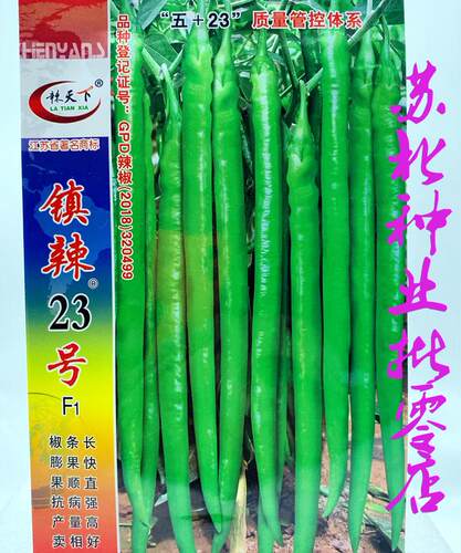 辣天下23号辣椒种子长线条椒籽早熟青红两用顺直春秋抗病高产