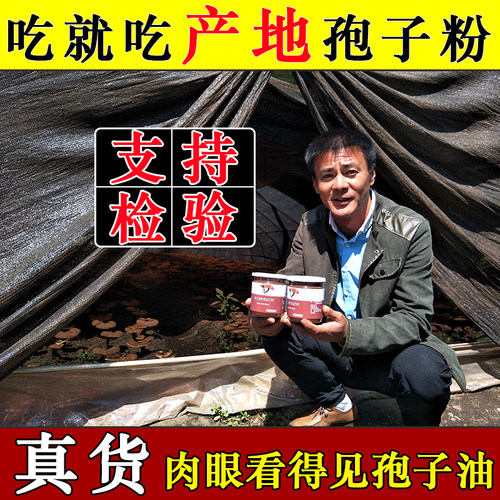 长白山灵芝孢子粉农户250g