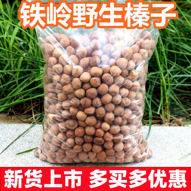东北铁岭新鲜野生小榛子2026特产干果生榛子散装坚果生的榛子炒熟