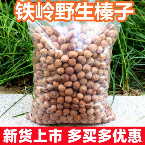 东北铁岭新鲜野生小榛子2026特产干果生榛子散装坚果生的榛子炒熟