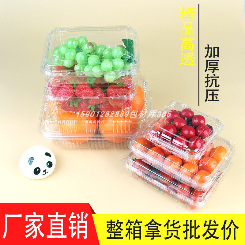 长方形带盖透明蔬菜水果打包盒