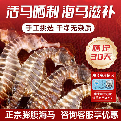 膨腹海马公母配对大腹海马海龙非野生溯源增炖高汤煲汤泡酒