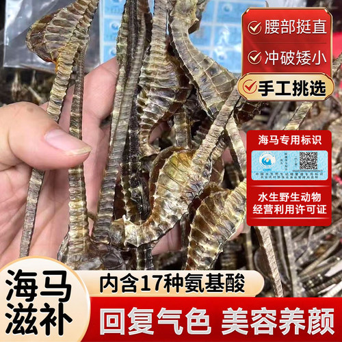 正宗大海马干货膨腹可分公母泡酒炖煲汤滋补养生正品非三斑中药材