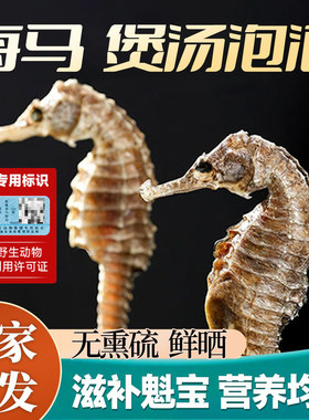 膨腹海马干公母配对煲汤泡酒