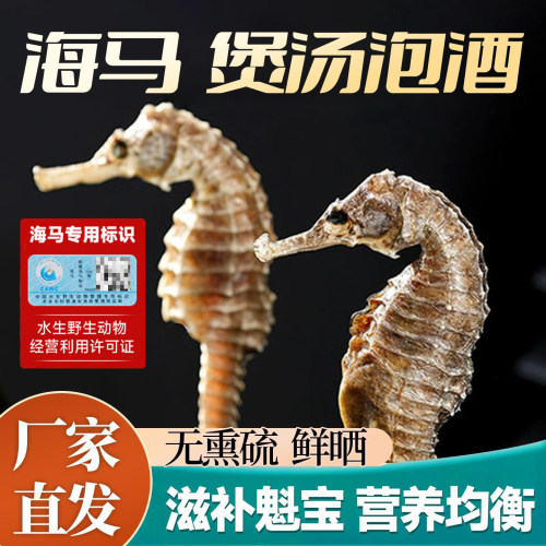 膨腹海马干公母配对煲汤泡酒