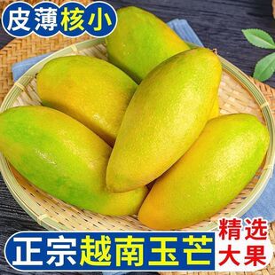 越南玉芒青皮芒果新鲜孕妇现摘甜水果超甜应季大果整箱芒果批发