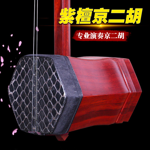 紫檀蛇皮京二胡苏州民族