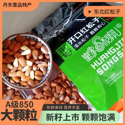 皇家松鼠A级东北开口红松子