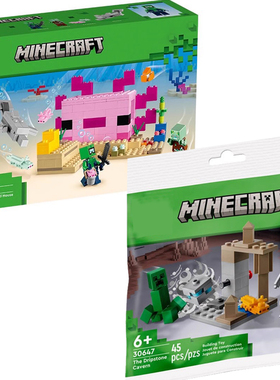 我的世界美西螈房屋21247磨砂岩洞穴溶洞30647儿童积木礼盒礼物