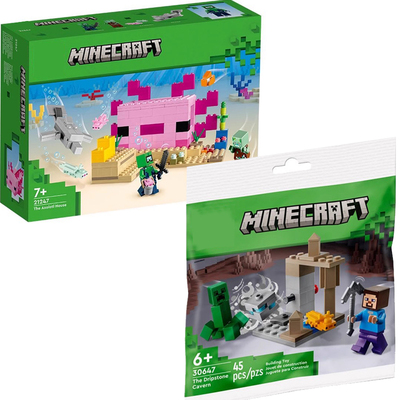 我的世界美西螈房屋21247磨砂岩洞穴溶洞30647儿童积木礼盒礼物