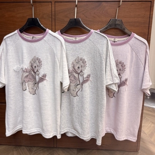 甜美减龄梦幻小马短袖 麻棉插肩袖 T恤 moment东大门夏季 实拍韩代款