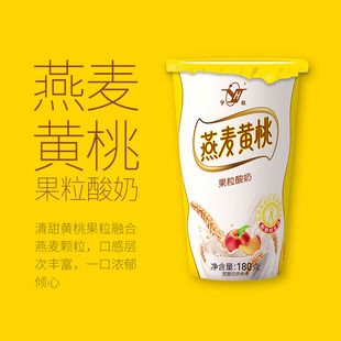 益生元 原味酸奶单杯 红枣味 宇航风味酸奶黄桃燕麦味 组合