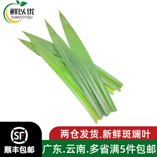斑斓叶新鲜食用香兰叶班兰叶商用500g蛋糕烘焙甜品千层芒果糯米饭