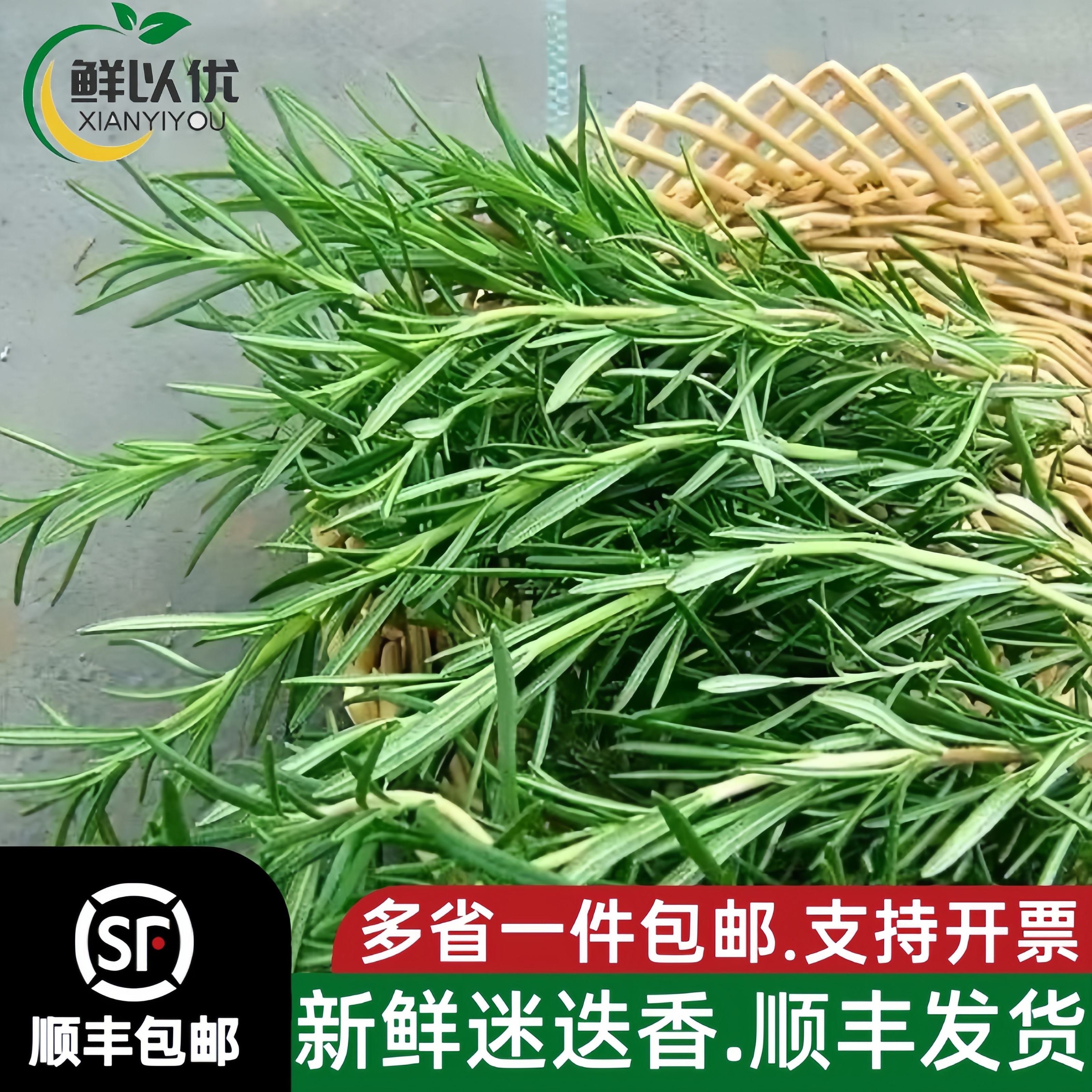 新鲜迷迭香250g 迷失迷迪香烧烤烘焙调料西餐煎牛排食用香料配料
