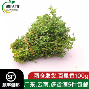 百里香新鲜食用香料调味料煎牛排西餐食材腌制摆盘装饰麝香香草