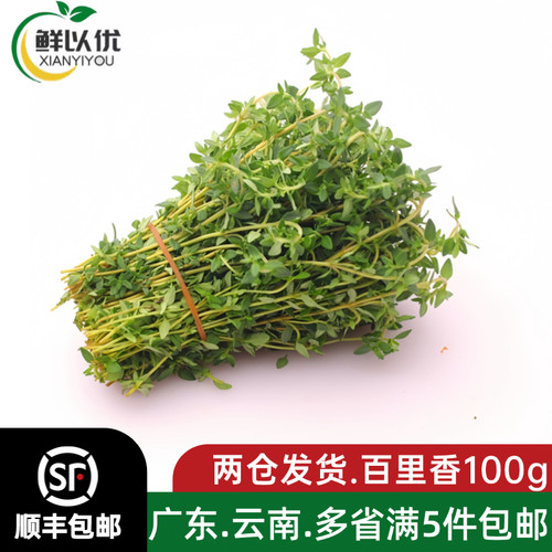 百里香新鲜食用香料调味料煎牛排西餐食材腌制摆盘装饰麝香香草