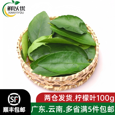 新鲜国产柠檬叶青柠叶去腥味西餐香料料理腌制烹饪调料冬阴功汤料