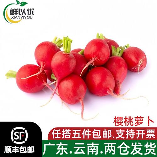 云南新鲜樱桃萝卜红丁当季水果小红萝卜红丁萝卜做泡菜5斤装包邮