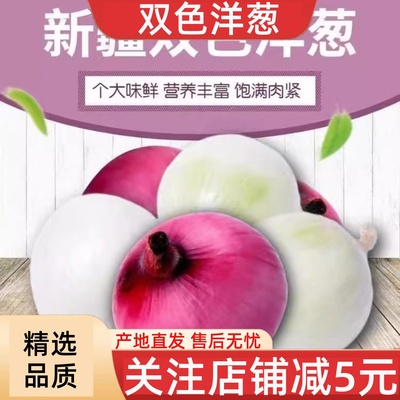 新疆洋葱系列紫皮和白皮任选