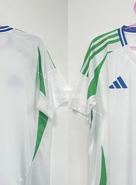 意大利2024欧洲杯客场球迷版 全新正品带吊牌IN0656 亚码中文领标