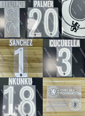 英超切尔西2425赛季主场杯赛印字 多选 帕尔默2324客通用ELMS正品