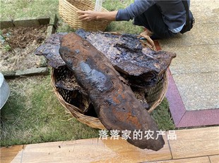 已切片500g 正品 海南野生灵芝海南霸王岭野生斑褐孔菌 包邮 保证