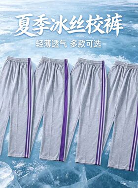 初高中学生校服裤子灰色二条杠紫条小学生校裤夏薄款男女儿童校裤