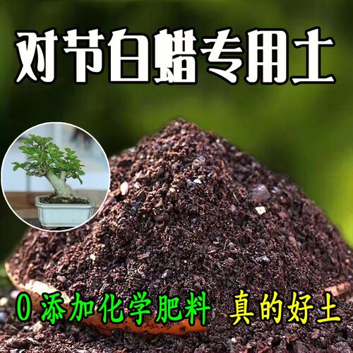 双节白蜡适用土疏松透气泥炭土