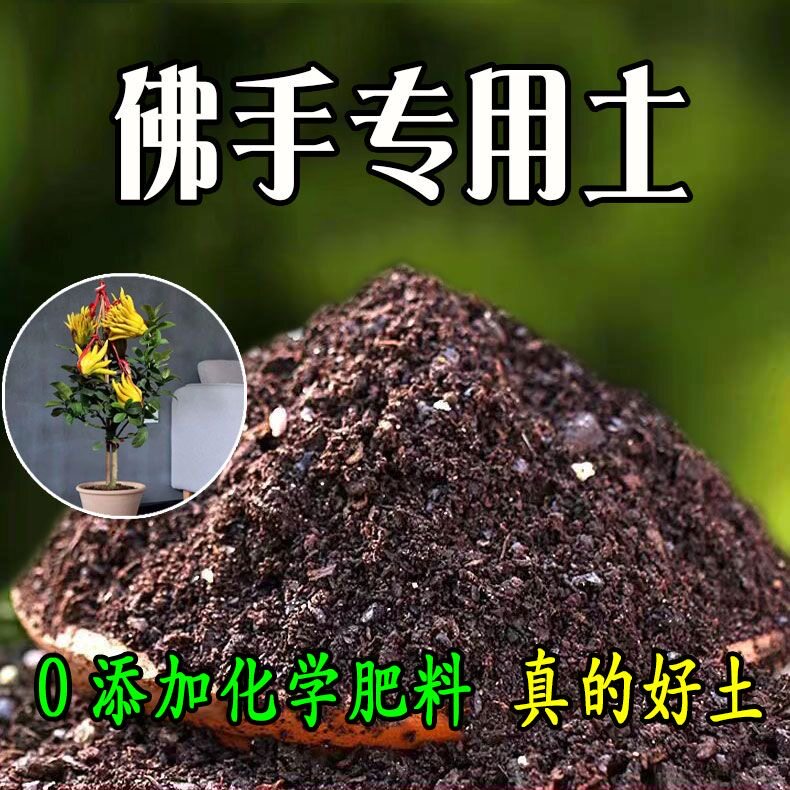 佛手专用通用土佛手养花营养土种菜种植泥炭花土盆栽土壤