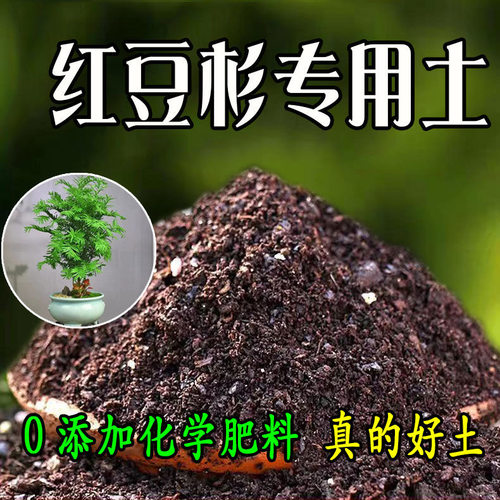 红豆杉营养土弱酸性轻质椰糠泥炭